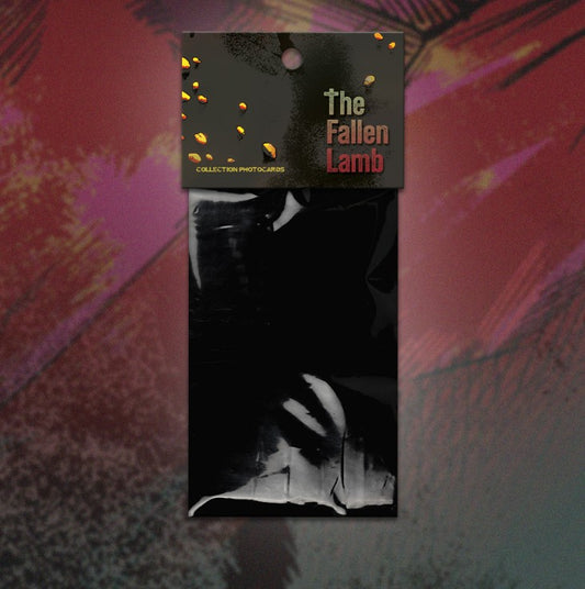 The Fallen Lamb : Collection Photo cards