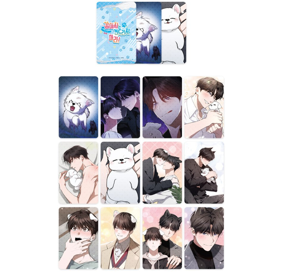 Paws & Claws : Twinkle Photocard Random Pack vol.1