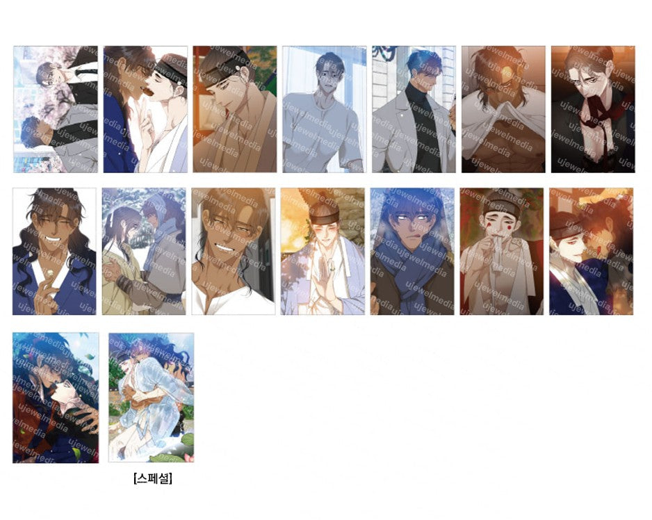 Taming the Tiger : Random Photo cards