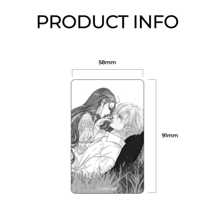 The Problematic Prince : MagSafe card holder