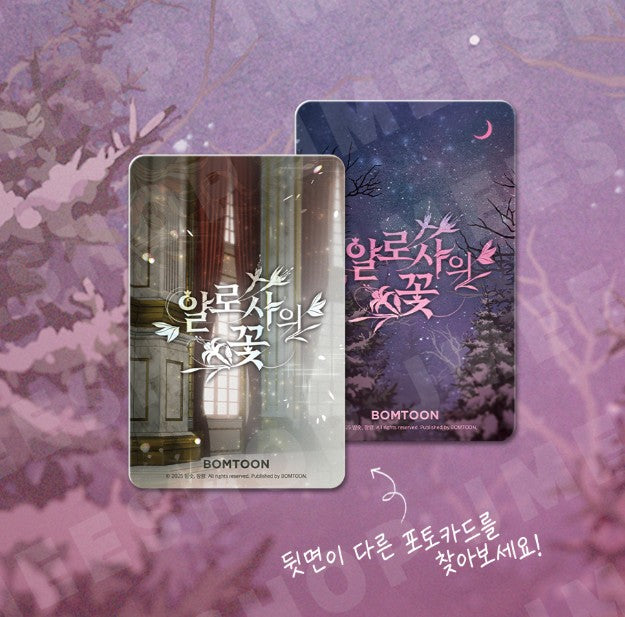 The Search For Alosha : Collection Photo cards