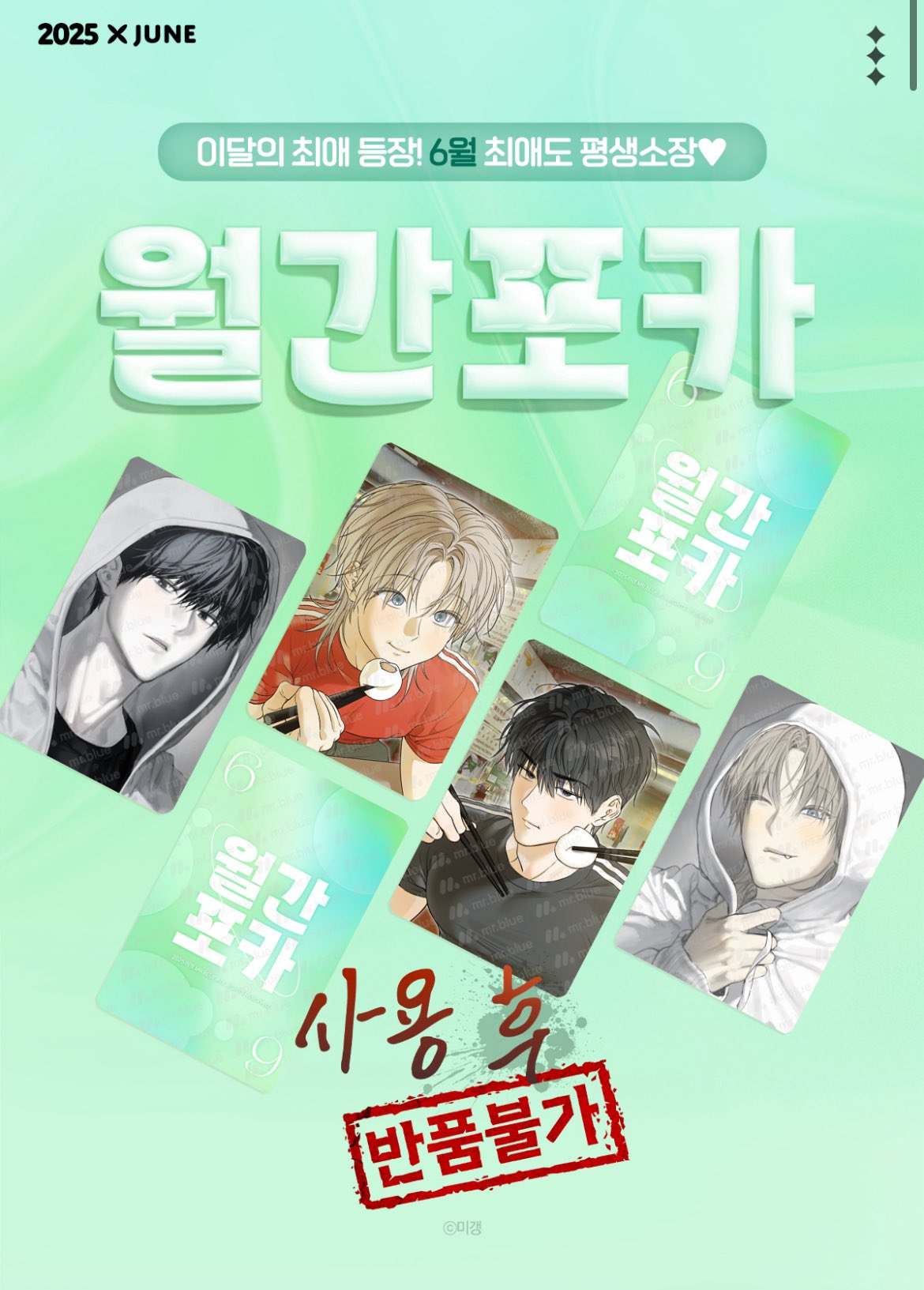 No Returns After Use : Mr.Blue Monthly Photo Card