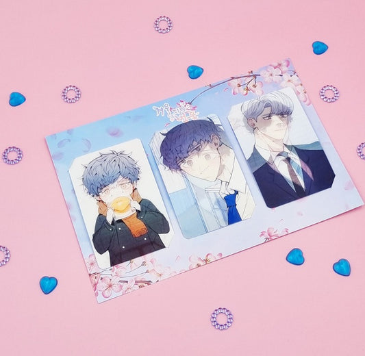Cherry Blossoms After Winter : Lenticular Photo Card set