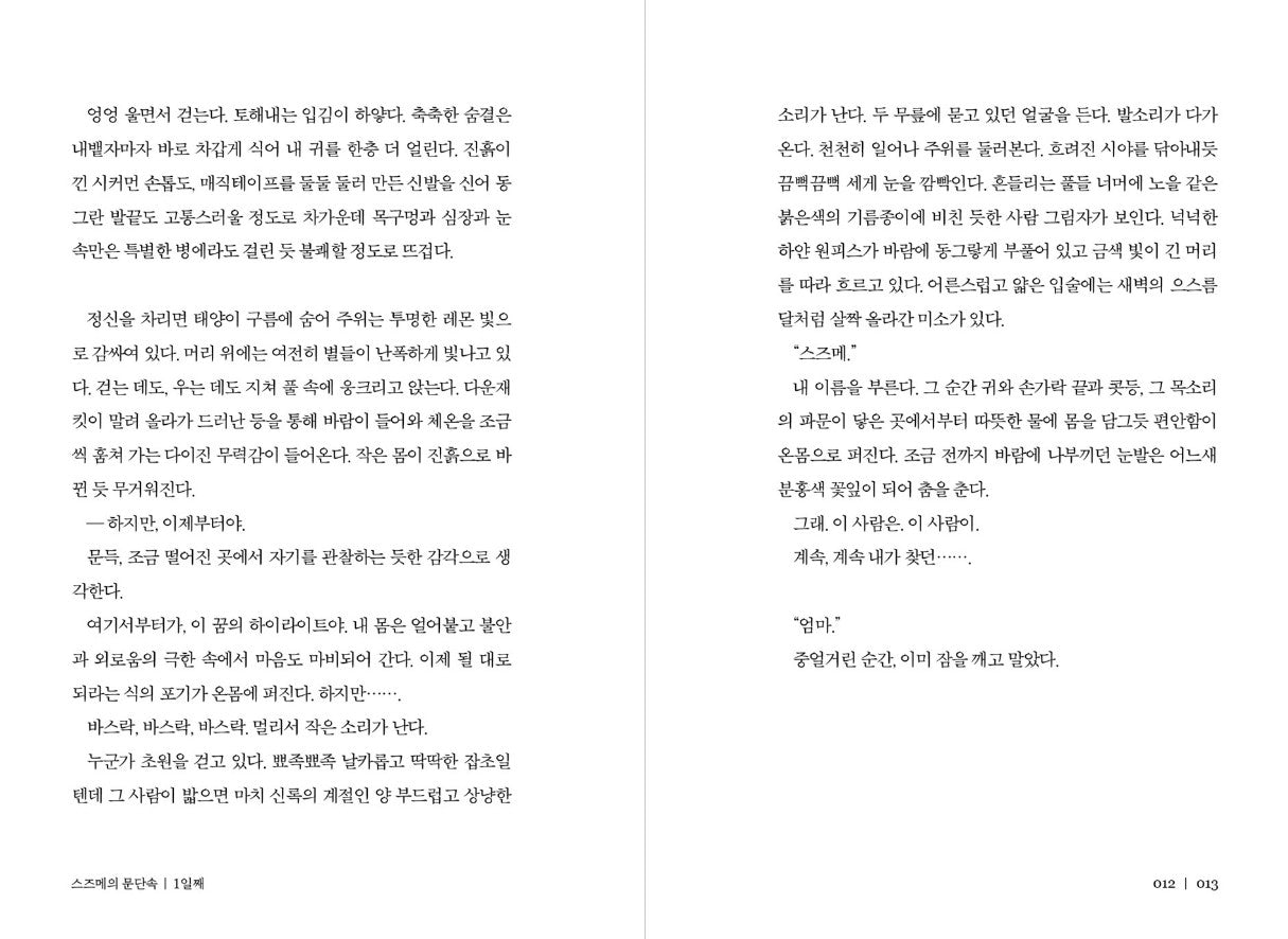 Suzume by Makoto Shinkai : Novel