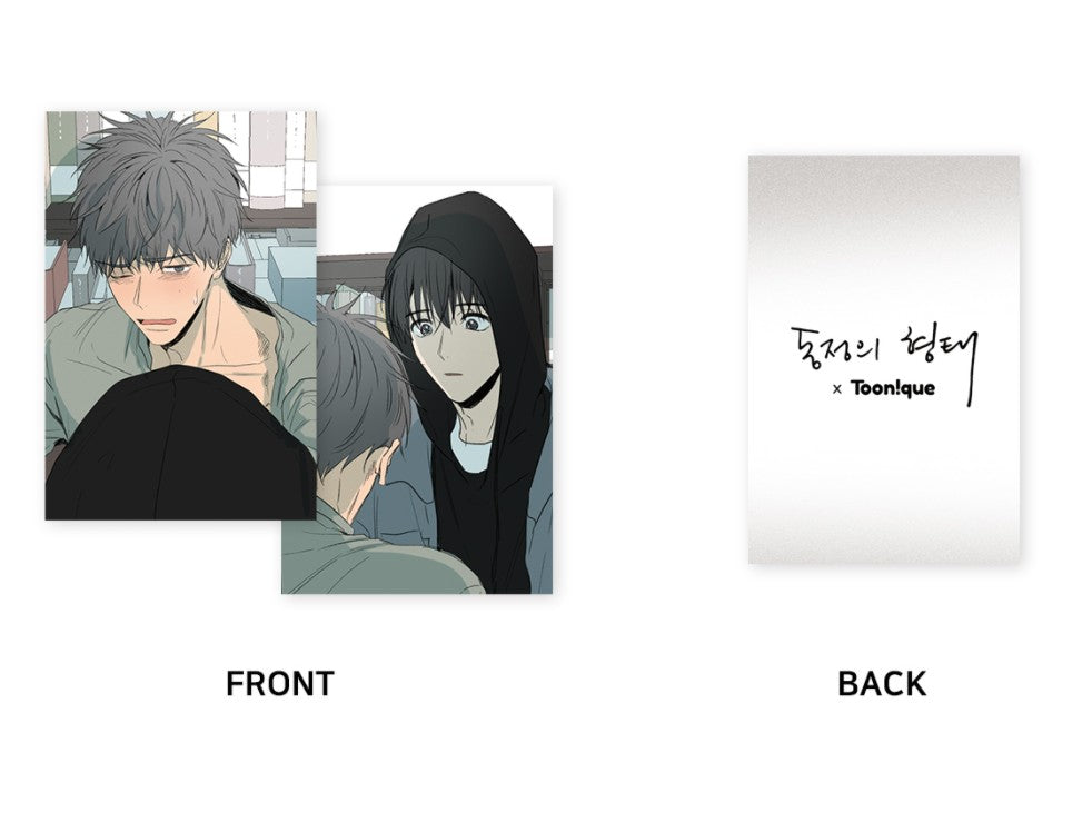 The Shape of Sympathy Official Goods Lenticular Photo Cards