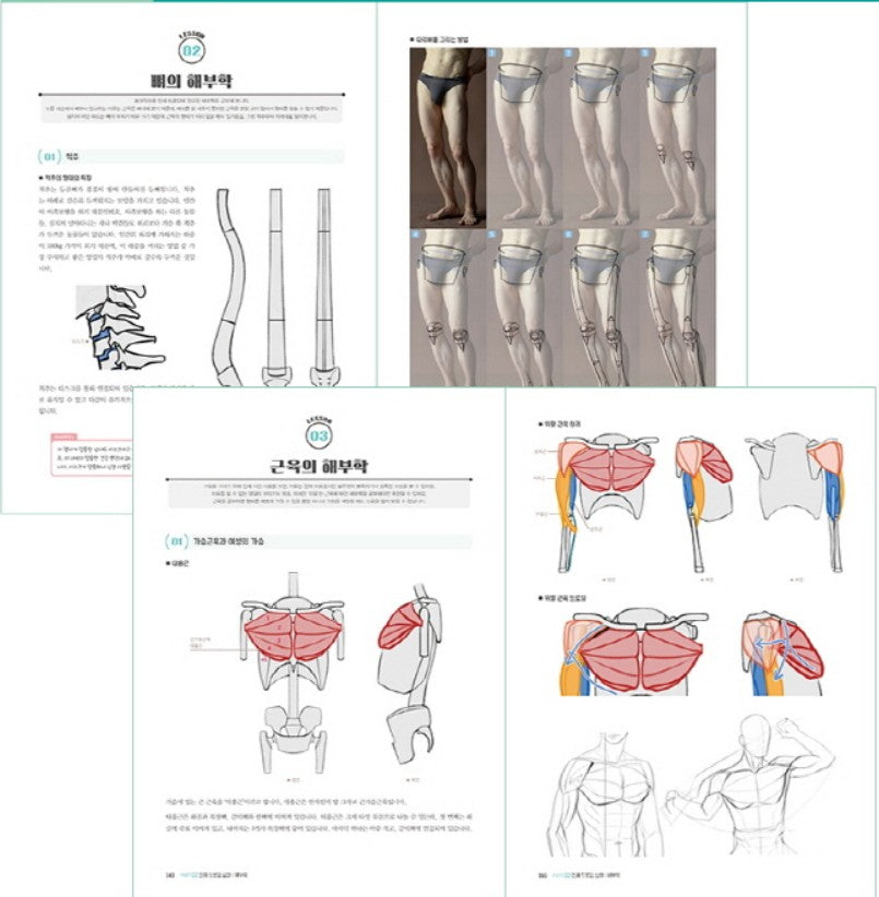 Figure Drawing & Anatomy Class by SAPPI, How to Draw Figure, Drawing Book