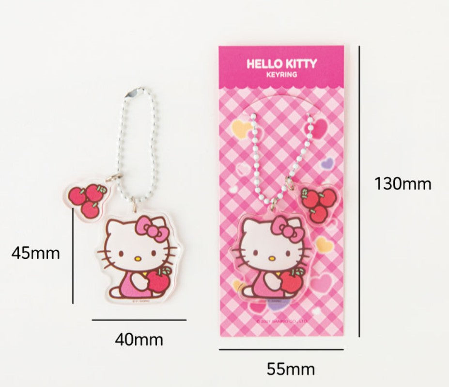 Sanrio 3 Ring Mini Binder Journal, Hello Kitty, My Melody Transparent Clear Cover Diary Album