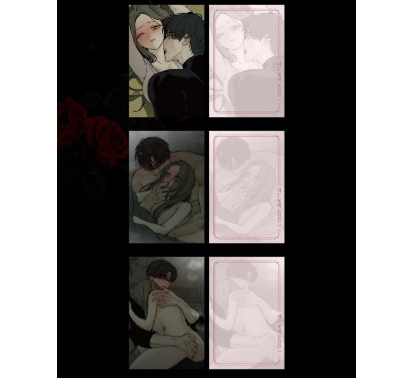 [pre-order] Tears on a Withered Flower : Illustration Postcard Book 19+