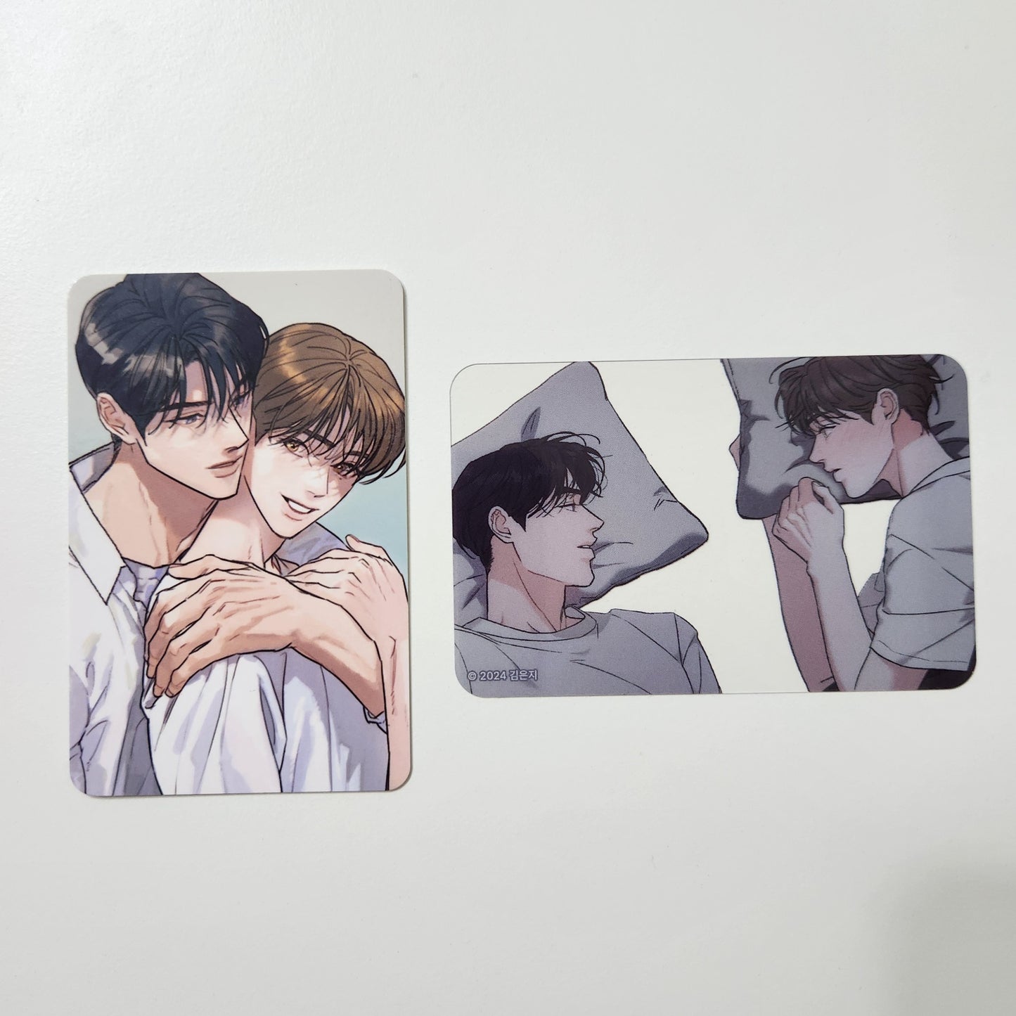 [NEMO MARKET] TEAM LEZHIN Special photo card : Limited Run photo card + transparent photo card