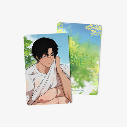 [pre-order] Growing in That Garden : Photo Card