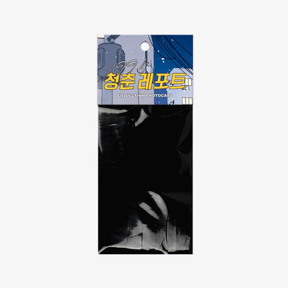 Youth Report: 1995 : Collection Photo cards