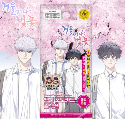 [pre-order] Cherry Blossoms After Winter : Collection Photo Card(random)