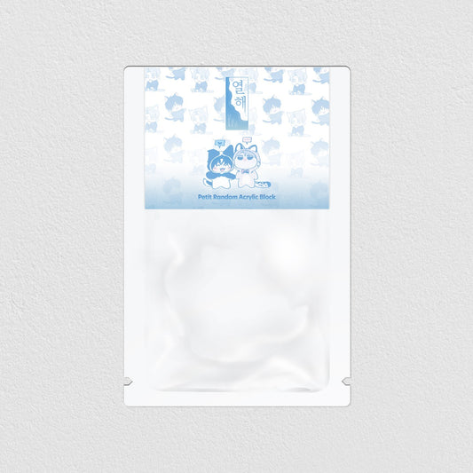 [pre-order] 10 years : Random Mini Acrylic Block