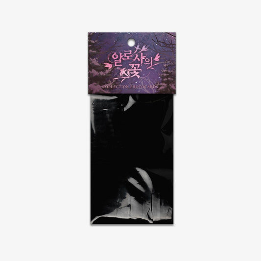 The Search For Alosha : Collection Photo cards