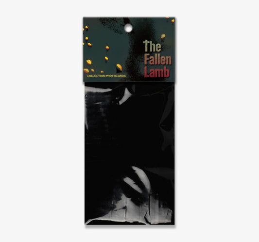 The Fallen Lamb : Collection Photo cards