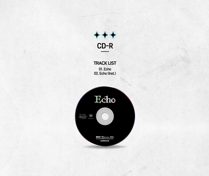 [last one]Solo Leveling OST Echo SET