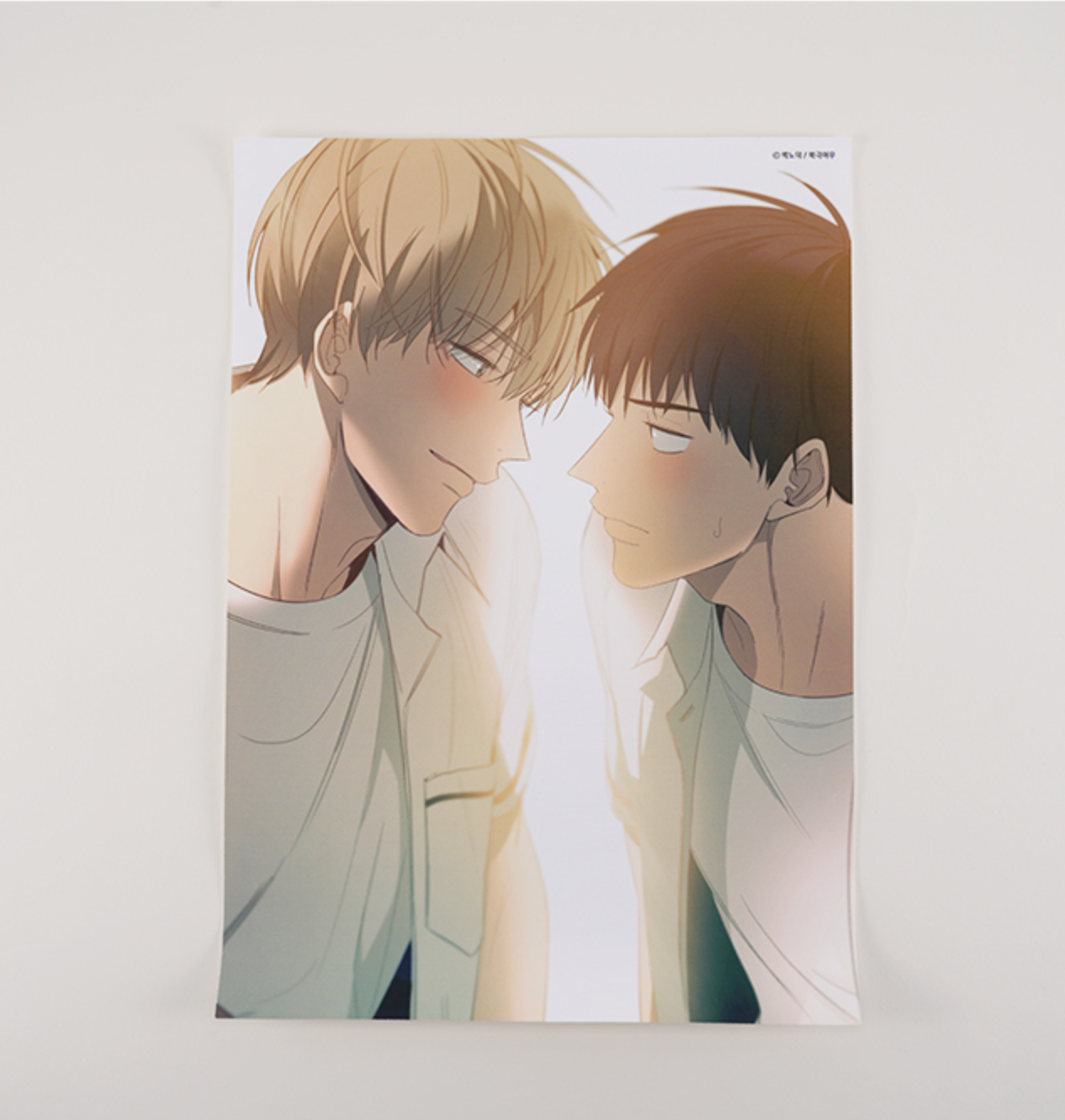 For your love Official Goods, Canvas Poster