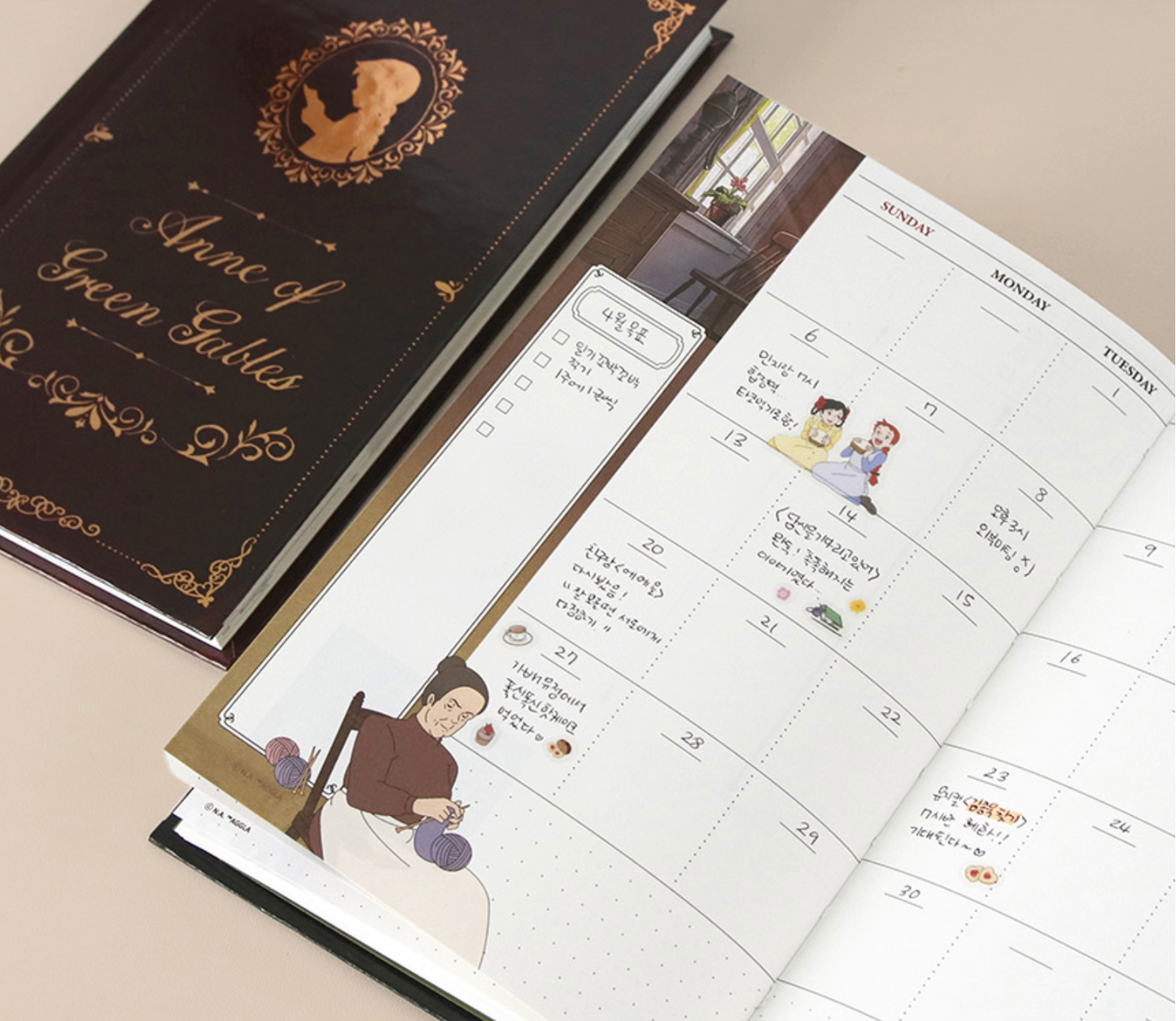 Anne of green gables Vintage Journal