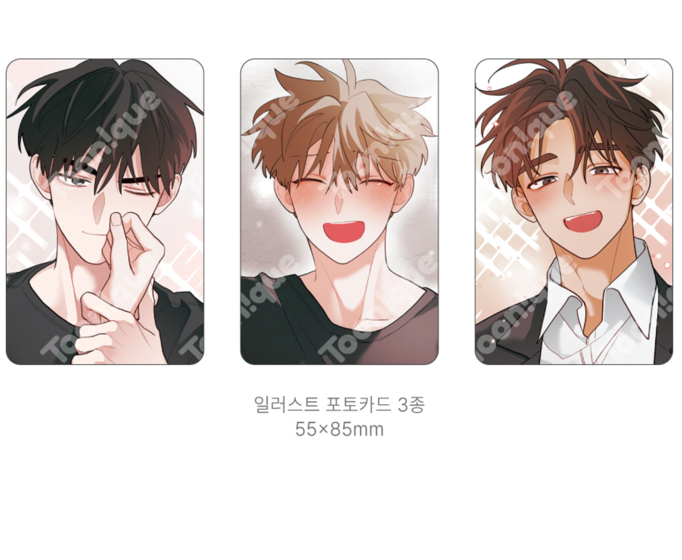 [Toonique Cafe] When Pear Blossoms Bloom : Photocard Pouch Set