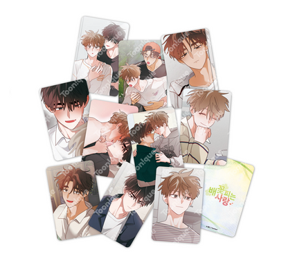 [Toonique Cafe] When Pear Blossoms Bloom : Random PhotoCard