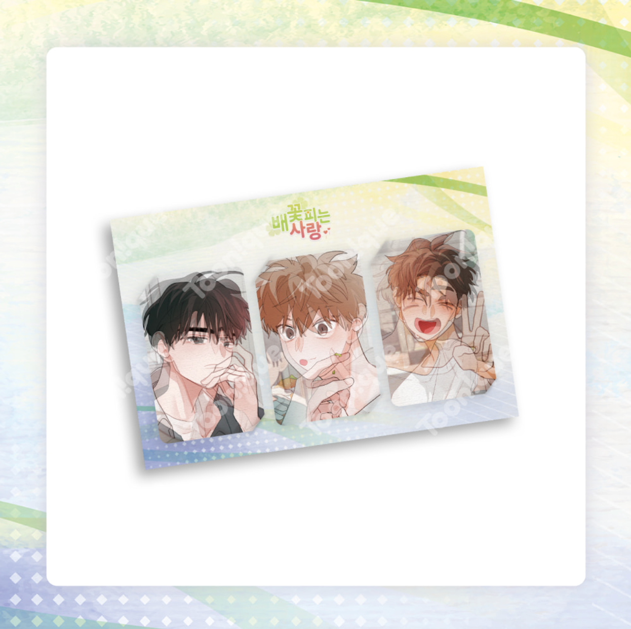 [Toonique Cafe] When Pear Blossoms Bloom : Lenticular Photocard Set