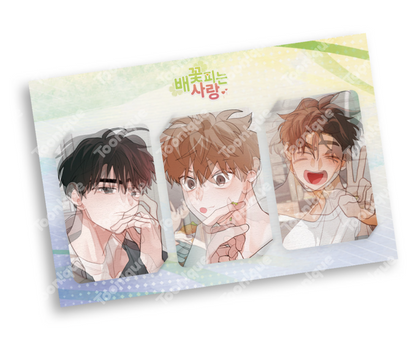 [Toonique Cafe] When Pear Blossoms Bloom : Lenticular Photocard Set