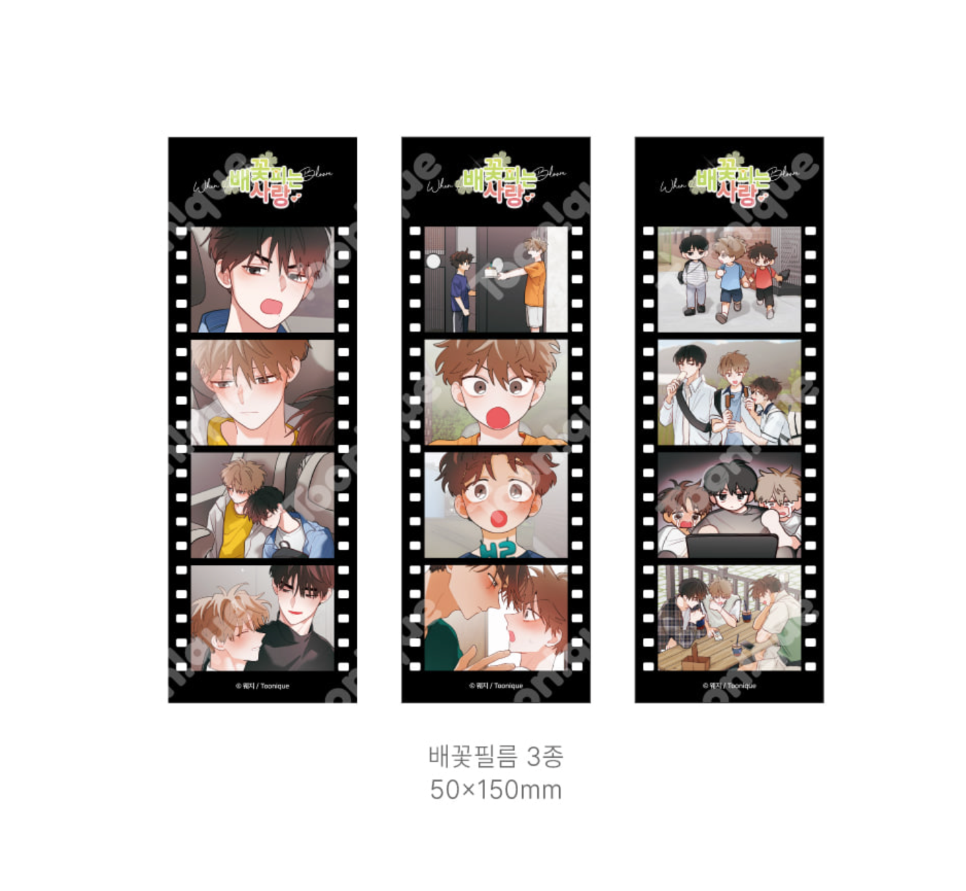 [Toonique Cafe] When Pear Blossoms Bloom : Childhood Friend Set