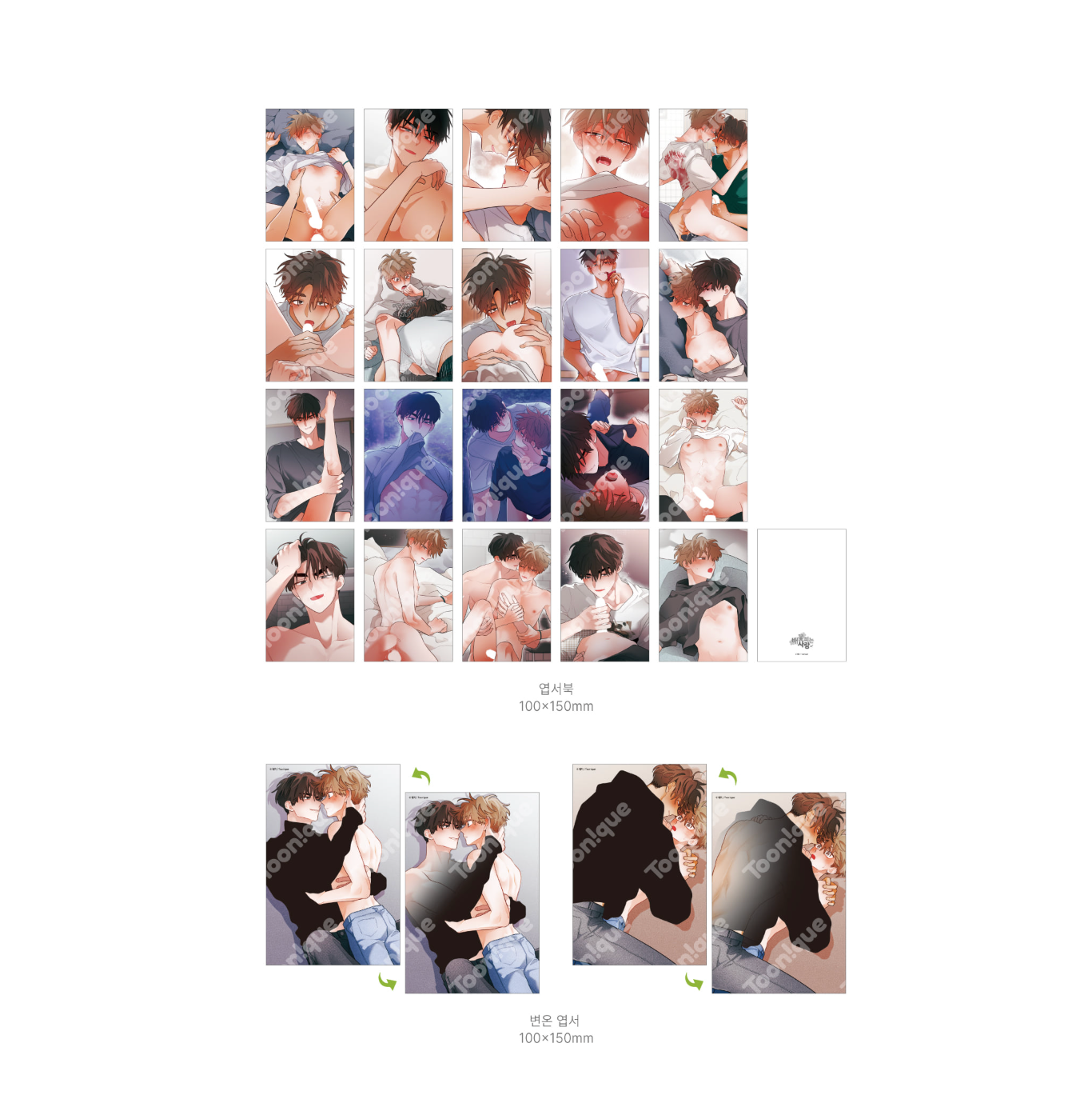 [Toonique Cafe] When Pear Blossoms Bloom : [+19] Illustrated Postcard Book