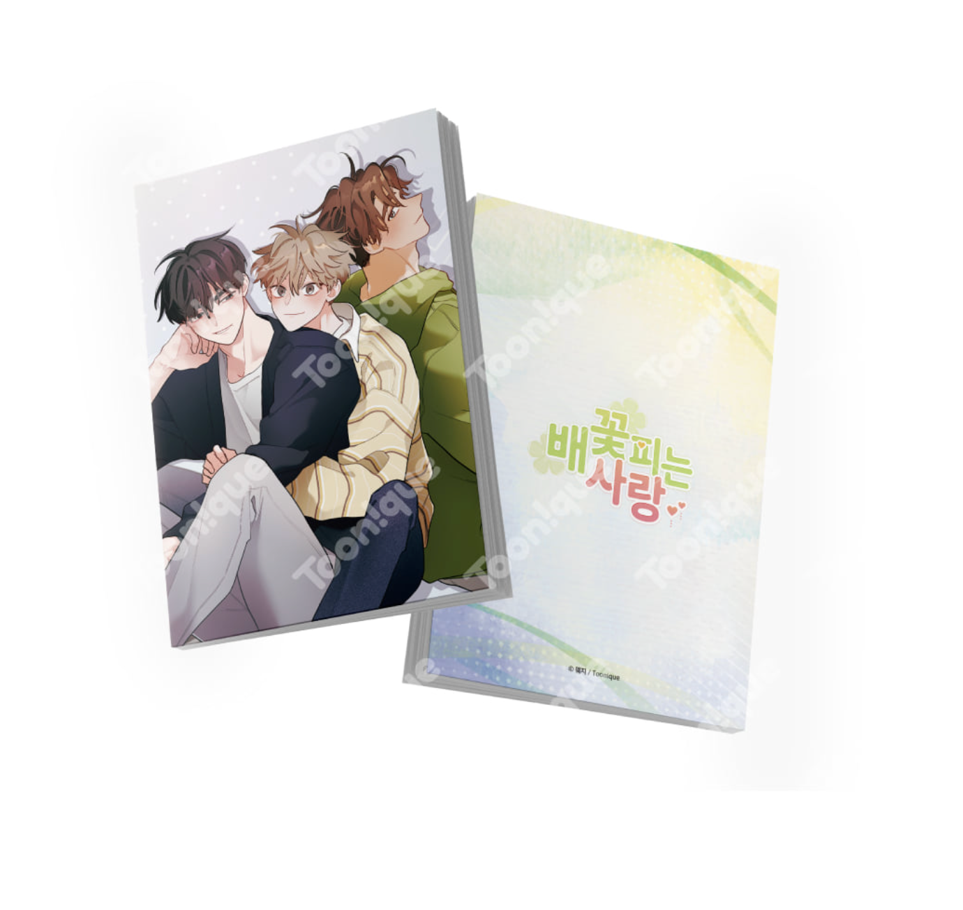 [Toonique Cafe] When Pear Blossoms Bloom : [+19] Illustrated Postcard Book