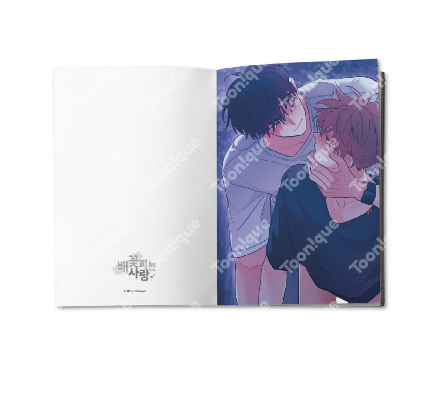 [Toonique Cafe] When Pear Blossoms Bloom : [+19] Illustrated Postcard Book