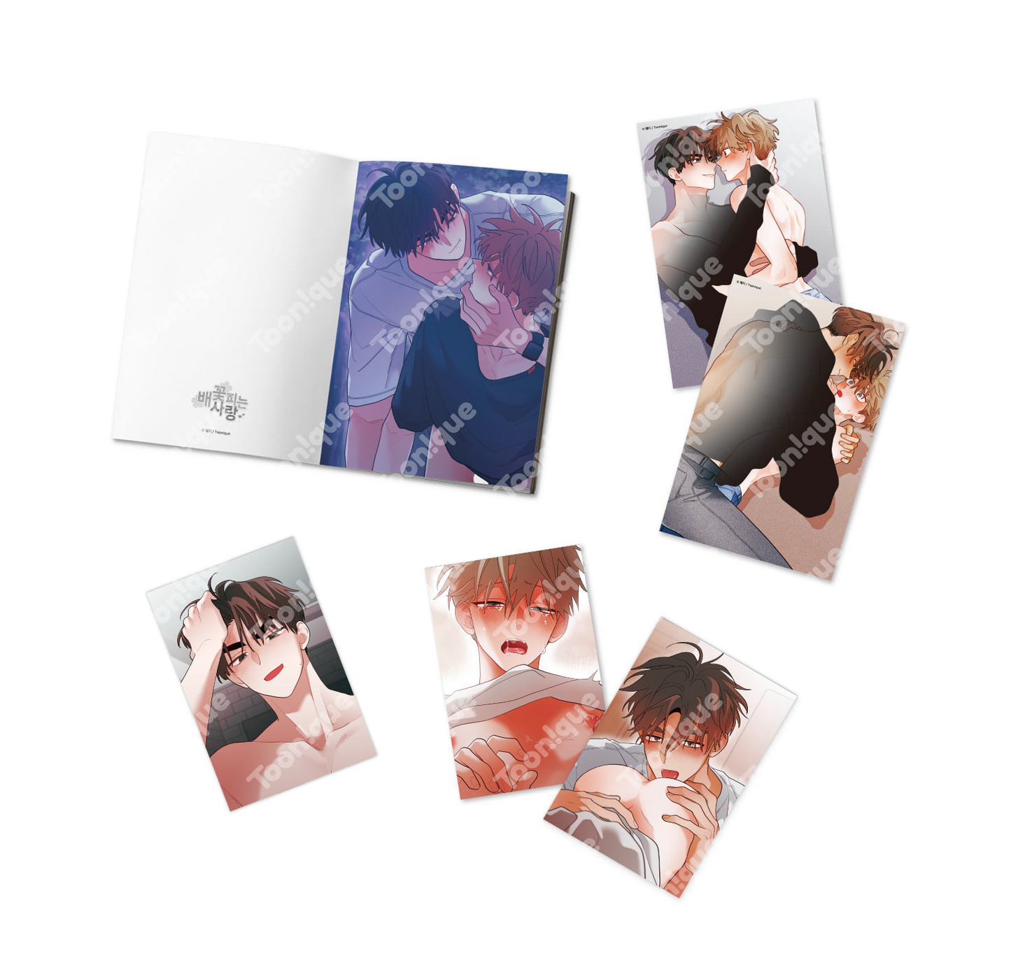 [Toonique Cafe] When Pear Blossoms Bloom : [+19] Illustrated Postcard Book