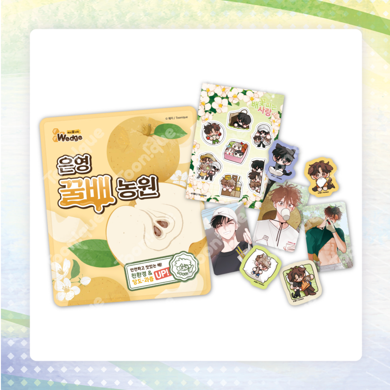 [Toonique Cafe] When Pear Blossoms Bloom : Honey Pear Farm Set