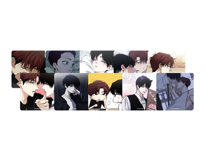 [Be On Cafe] Two Tigers, Too Close : 10 Coasters