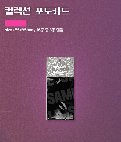 [LEBOM CAFE] Salon de Lebom(Between Apron & Gloves) : Collection Photo Cards