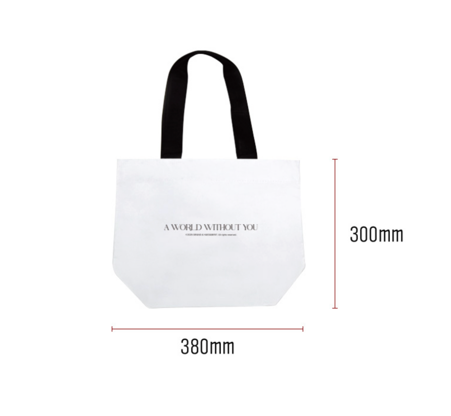 [collaboration cafe] A World Without You : Reusable Bag + A4 Poster Set