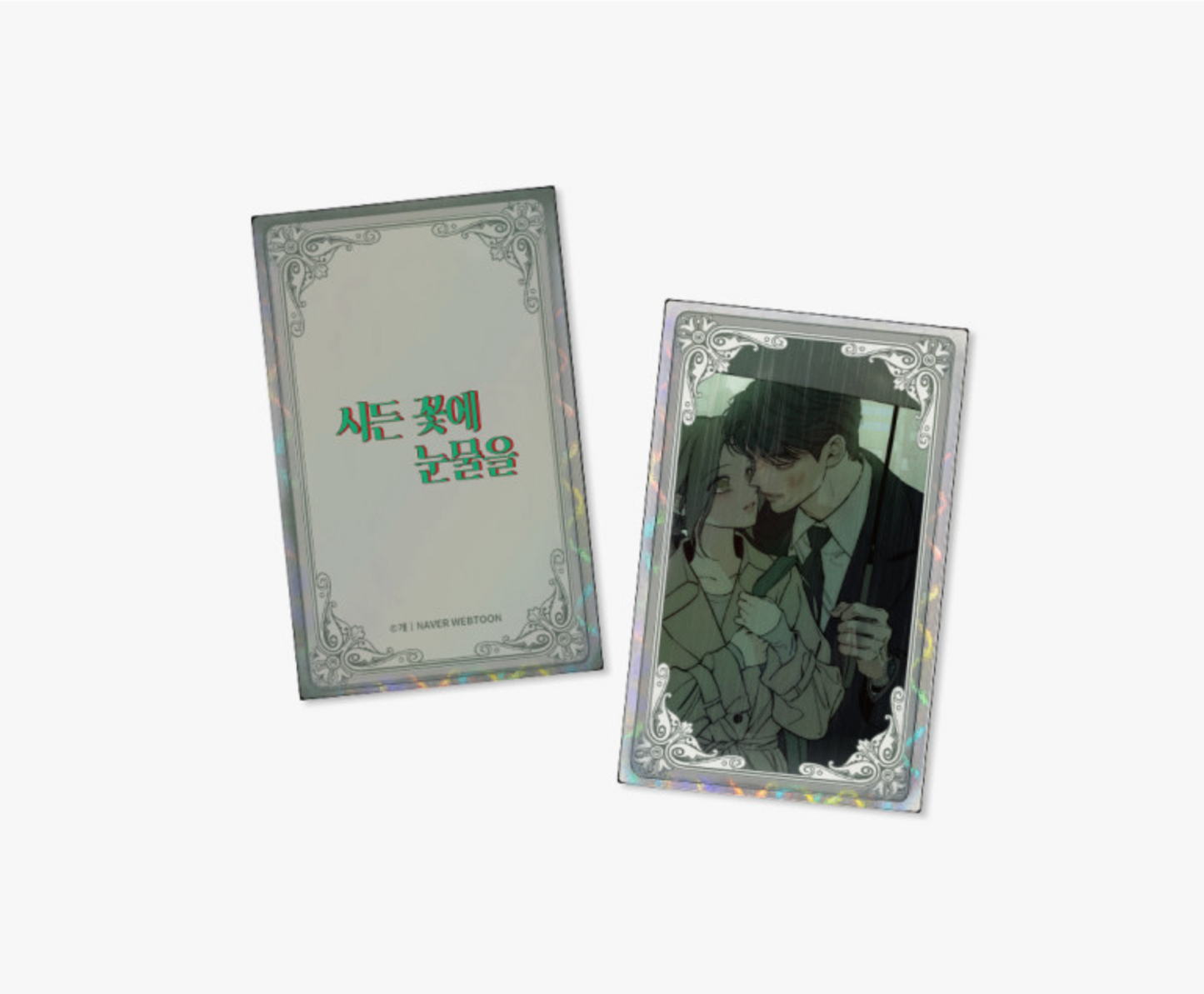 [POP-UP] Tears on a Withered Flower: Taeha's room : Random Holographic Card(+19 ver.)