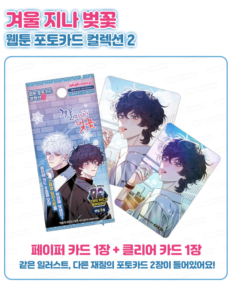 [pre-order] Cherry Blossoms After Winter : Collection Photo Card(random) ver.2
