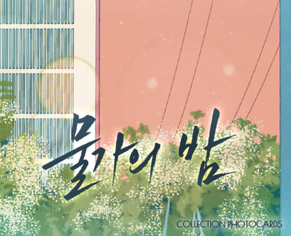 Low Tide in Twilight : Collection Photo cards Ver.2