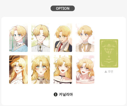 Finding Camellia : Photo Card Set