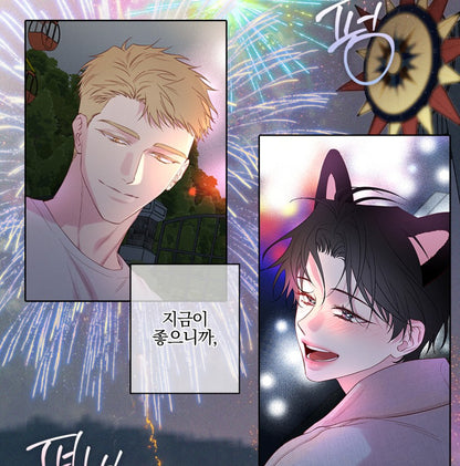 In Your Wake : Lenticular Package