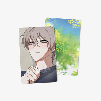 [pre-order] Growing in That Garden : Photo Card