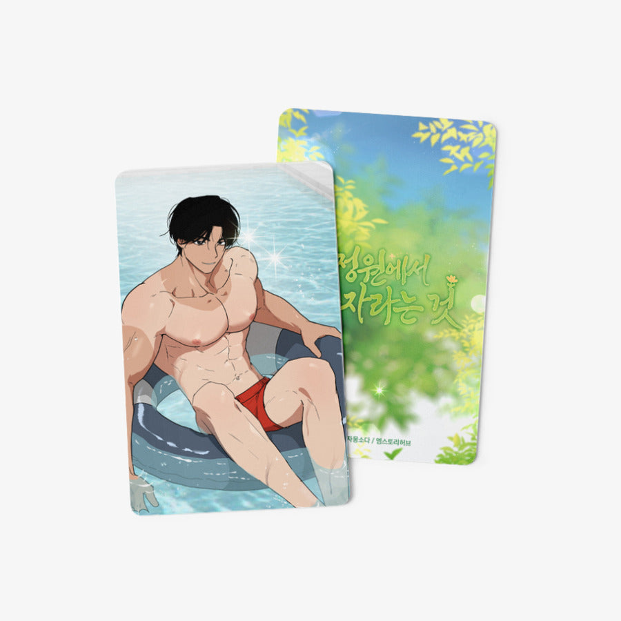 [pre-order] Growing in That Garden : Photo Card