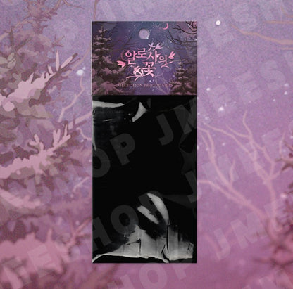 The Search For Alosha : Collection Photo cards