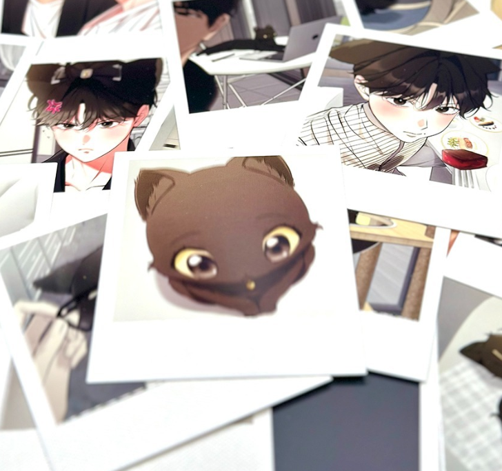 [pre-order] Kitty Therapy : Random Polaroid Photo