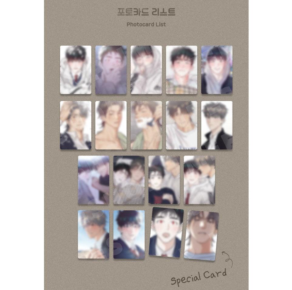 A Lovely Meal : Collection Photo cards