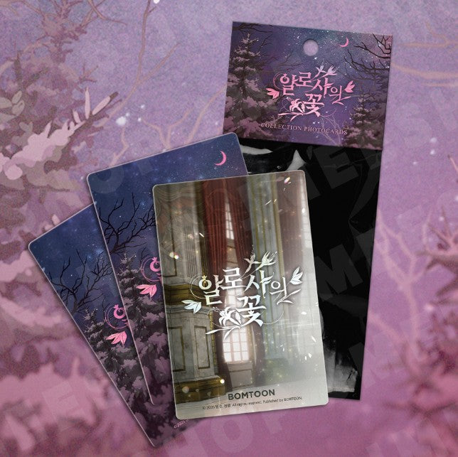 The Search For Alosha : Collection Photo cards