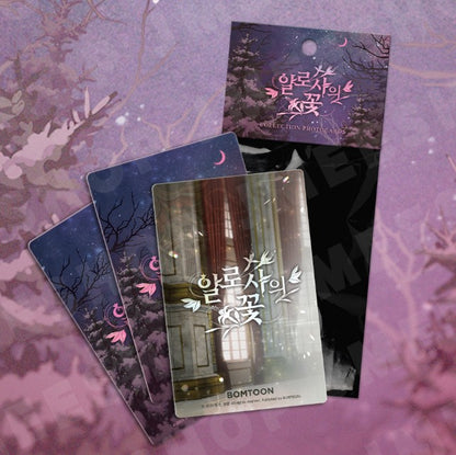 The Search For Alosha : Collection Photo cards