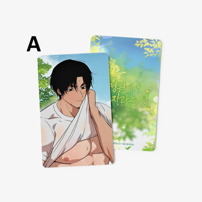 [pre-order] Growing in That Garden : Photo Card
