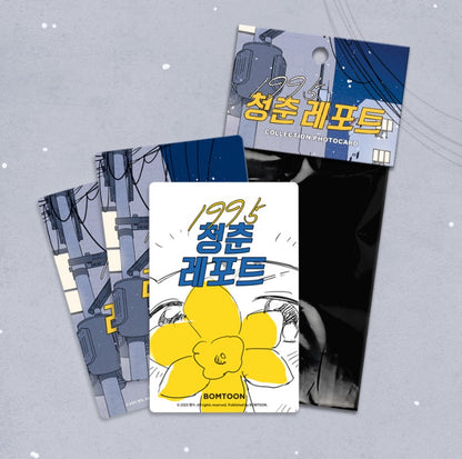 Youth Report: 1995 : Collection Photo cards