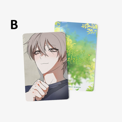 [pre-order] Growing in That Garden : Photo Card